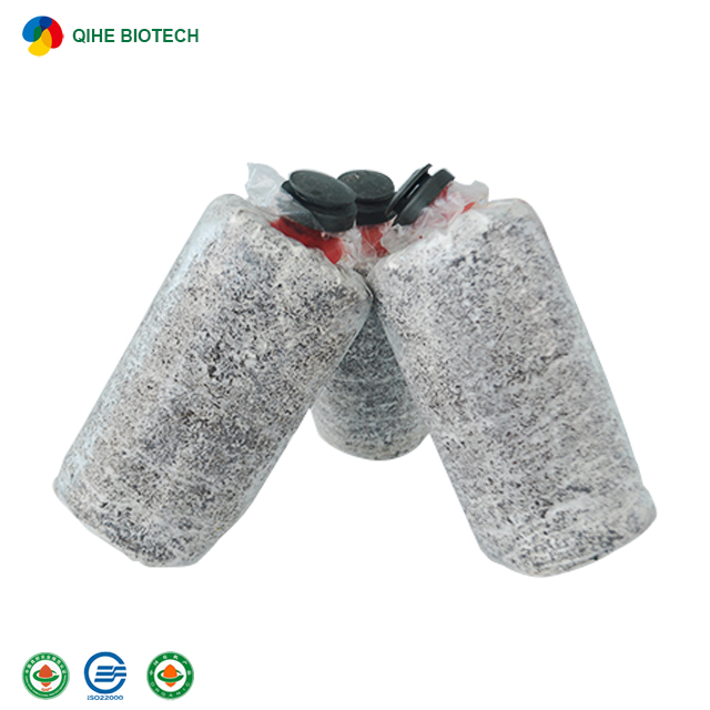 Qihe Oyster Mushroom Logs